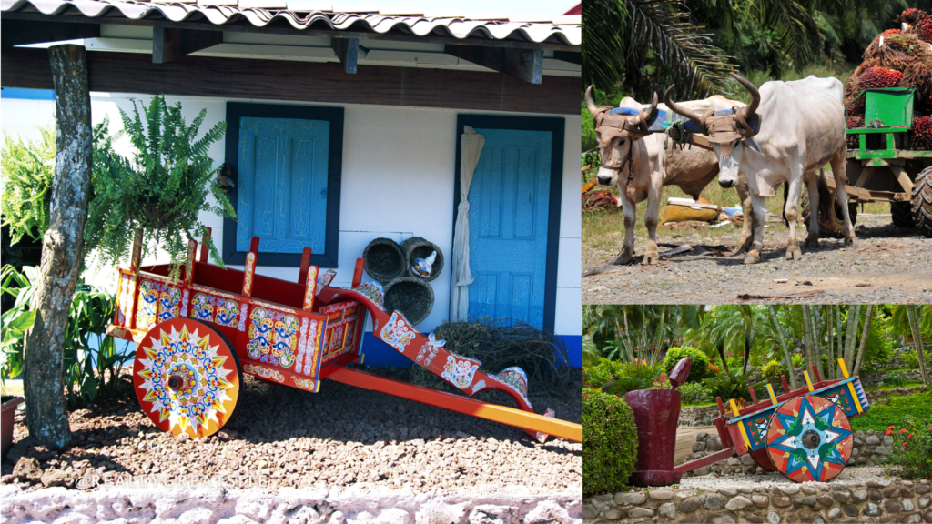 annual oxcart parade costa rica
